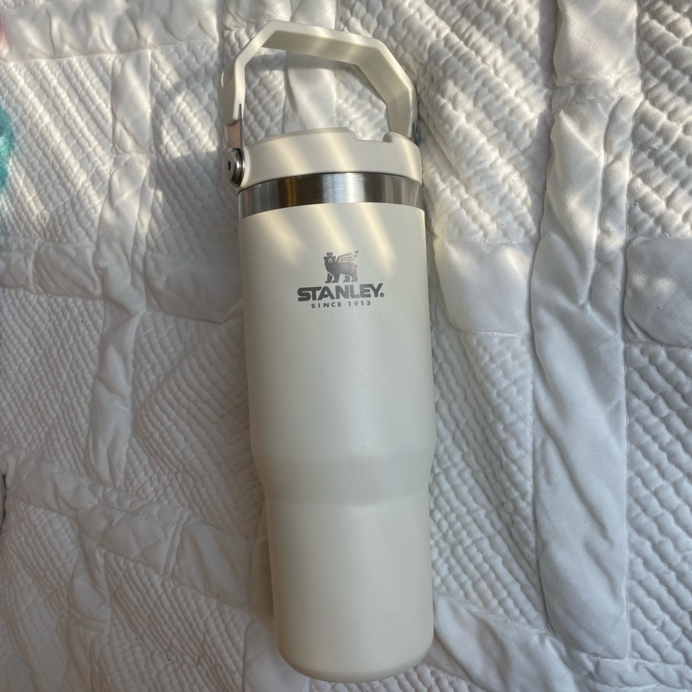Stanley Water Bottle